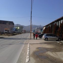 16790415_1196919957069804_2081751272_n