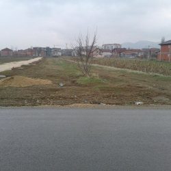 17238831_1218601521568314_2146206326_n