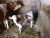 IMG-d046d659be6bcb72f797b936f464c30f-V