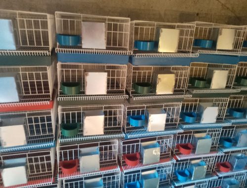 IMG_20250704_180534 IMG_20250704_180534